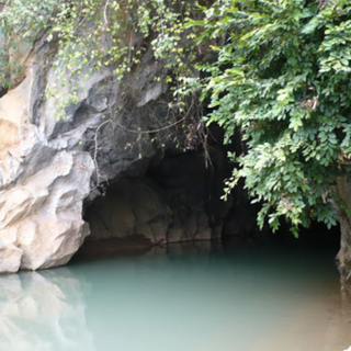 Local Trips .ORG Chuyên Cung Cấp Thông Tin Tìm Kiếm, Địa Điểm Tham Quan Tại Hang Thẩm Púa