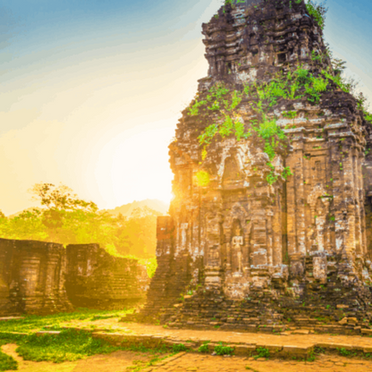 Local Trips .ORG Chuyên Cung Cấp Thông Tin Tìm Kiếm, Địa Điểm Tham Quan Tại Thánh Địa Mỹ Sơn
