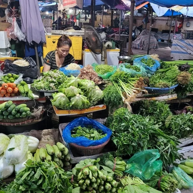 Local Trips.ORG Chuyên Cung Cấp Thông Tin Tìm Kiếm, Địa Điểm Tham Quan Tại Chợ Hà Đông
