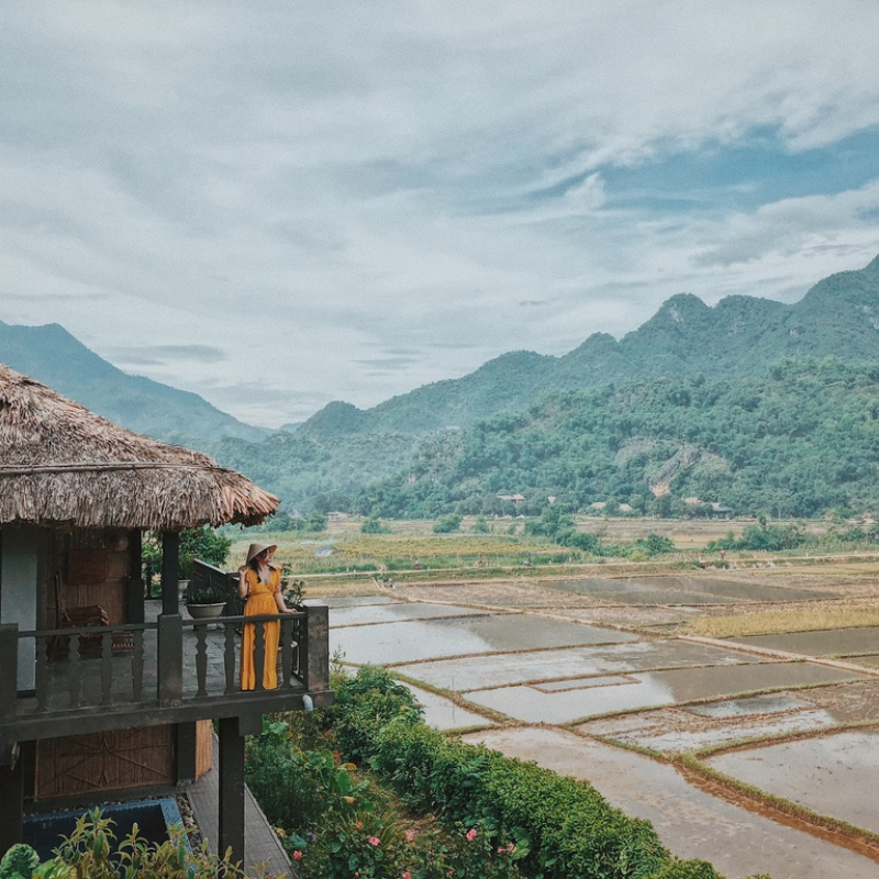 LocalTrips.ORG Chuyên Cung Cấp Thông Tin Tìm Kiếm, Địa Điểm Tham Quan Tại Thung Lũng Mai Châu
