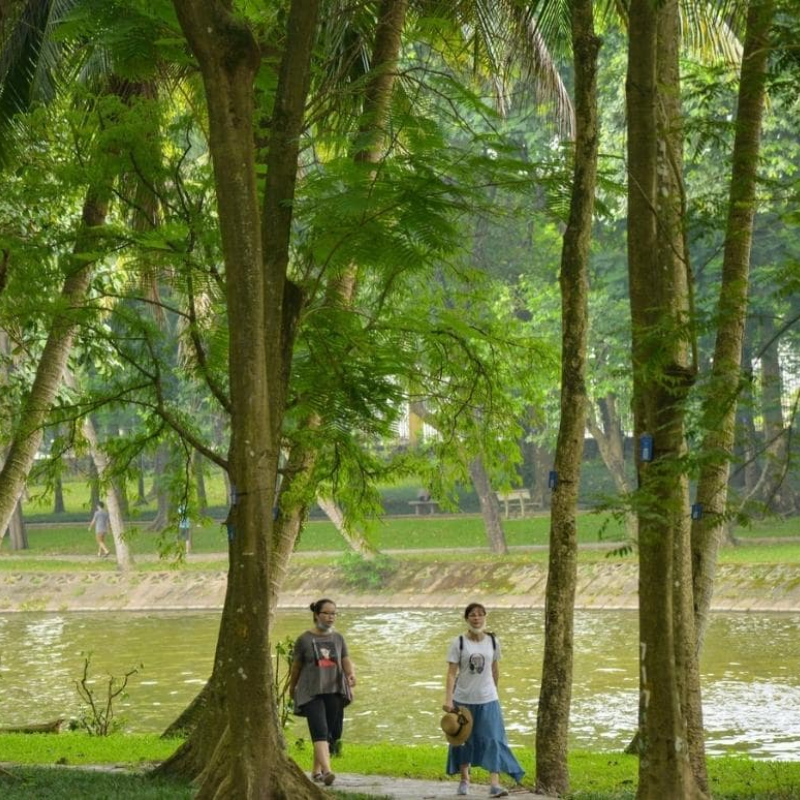 Local Trips.ORG Chuyên Cung Cấp Thông Tin Tìm Kiếm, Địa Điểm Tham Quan Tại Vườn Bách Thảo Hà Nội