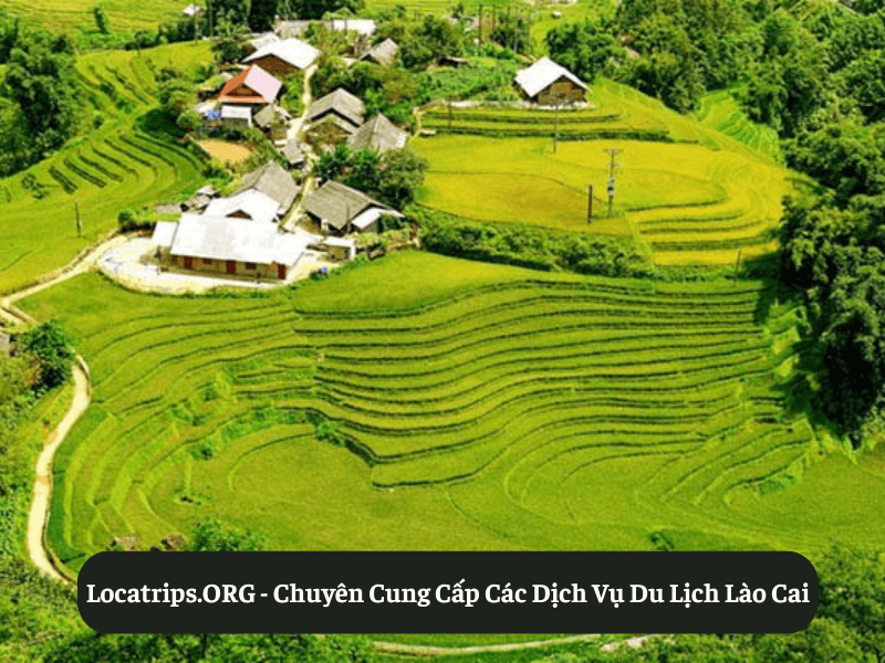 Locatrips.ORG - Chuyên Cung Cấp Các Dịch Vụ Du Lịch Lào Cai