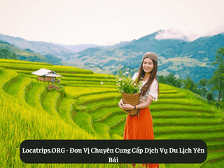 Locatrips.ORG - Đơn Vị Chuyên Cung Cấp Dịch Vụ Du Lịch Yên Bái