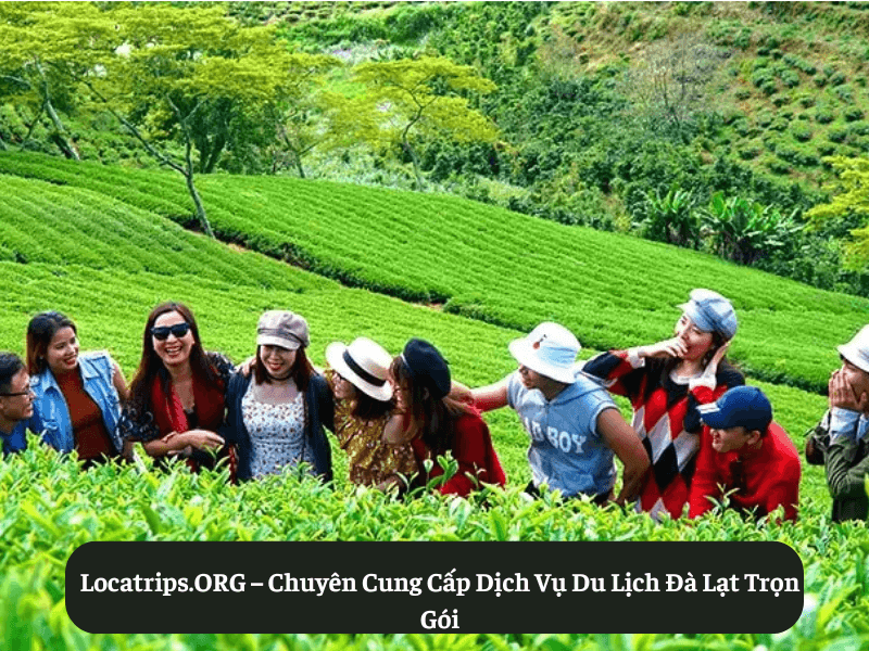 Locatrips.ORG – Chuyên Cung Cấp Dịch Vụ Du Lịch Đà Lạt Trọn Gói