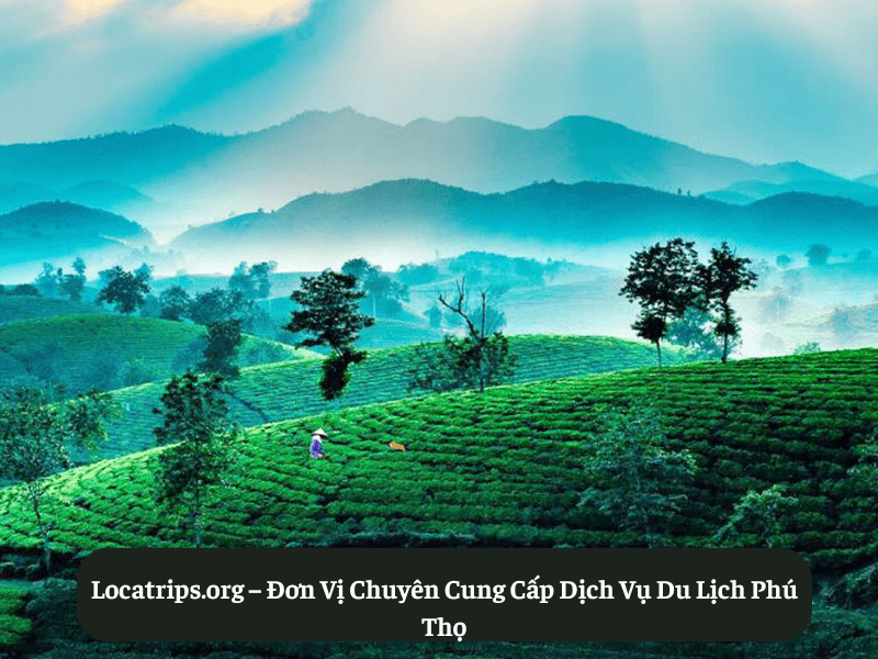 Locatrips.org – Đơn Vị Chuyên Cung Cấp Dịch Vụ Du Lịch Phú Thọ