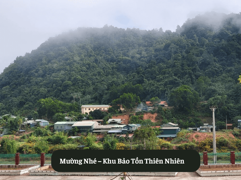 Mường Nhé – Khu Bảo Tồn Thiên Nhiên
