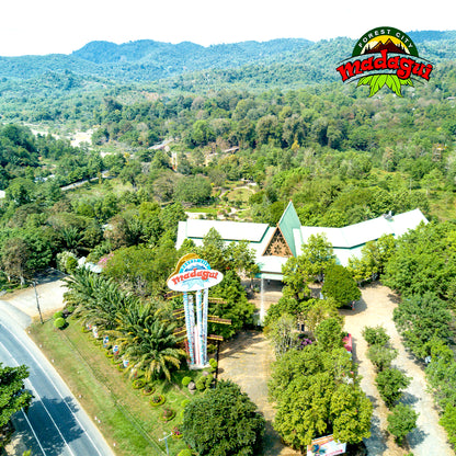 Madagui Forest City Đà Lạt