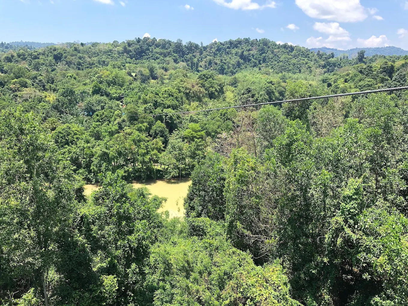 Những Câu Hỏi Thường Gặp Khi Khám Phá Madagui Forest City