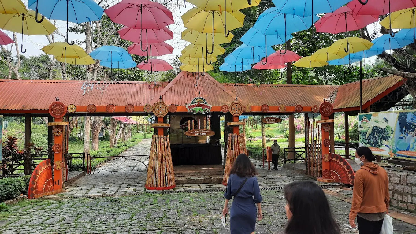 Madagui Forest City Đà Lạt: Khám Phá Thành Phố Rừng Kỳ Vĩ