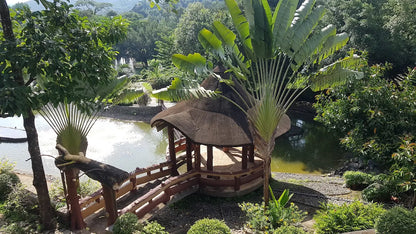 Những Trải Nghiệm Độc Đáo Tại Madagui Forest City