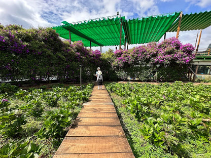 Mê Linh Coffee Garden Đà Lạt