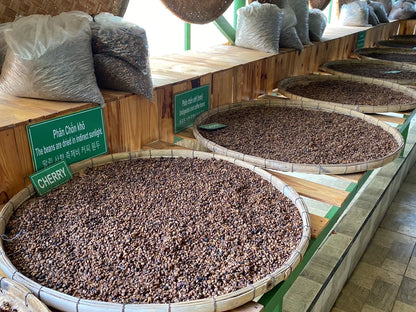 Mê Linh Coffee Garden Đà Lạt