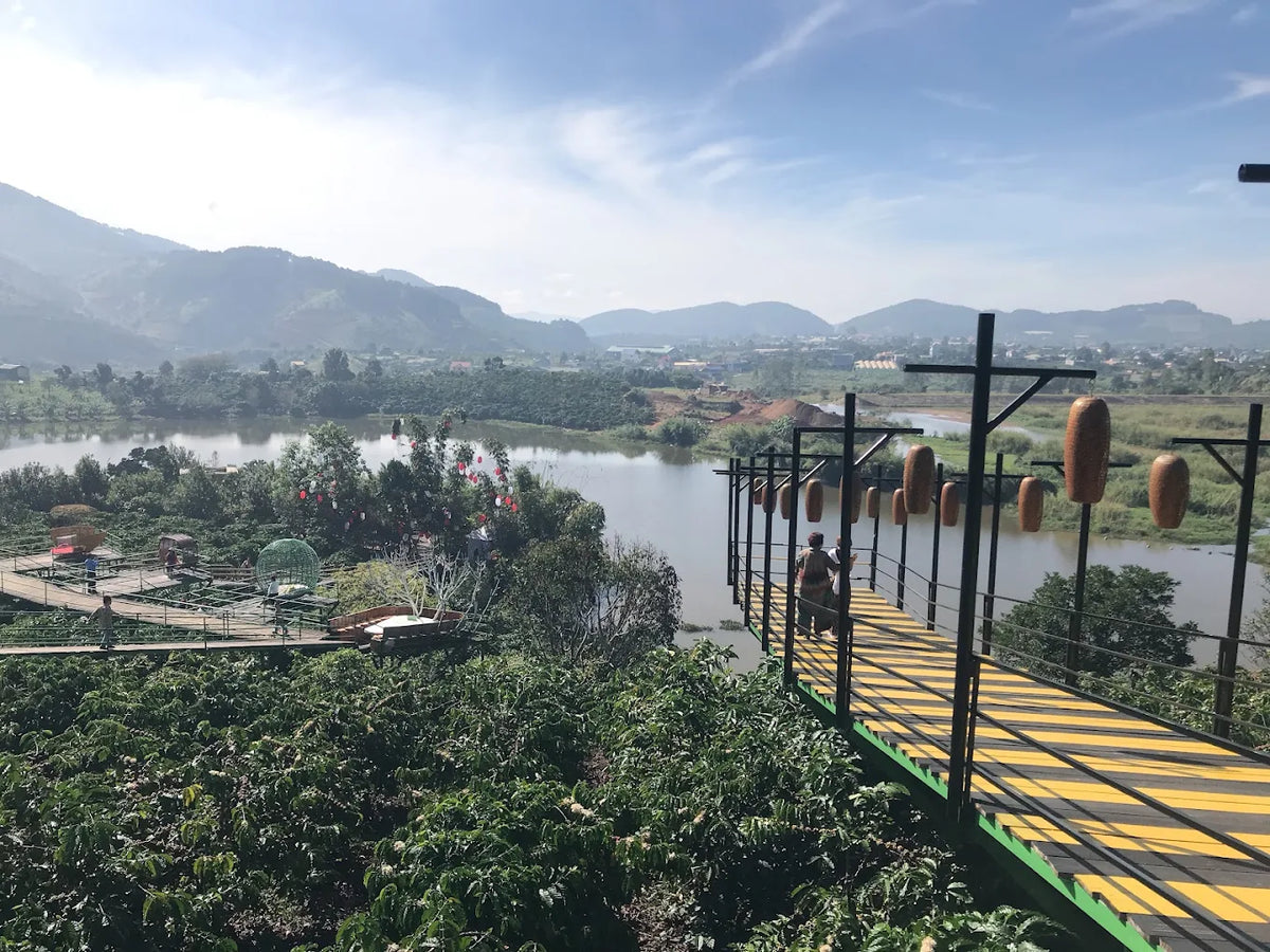 Những Câu Hỏi Thường Gặp Khi Khám Phá Mê Linh Coffee Garden