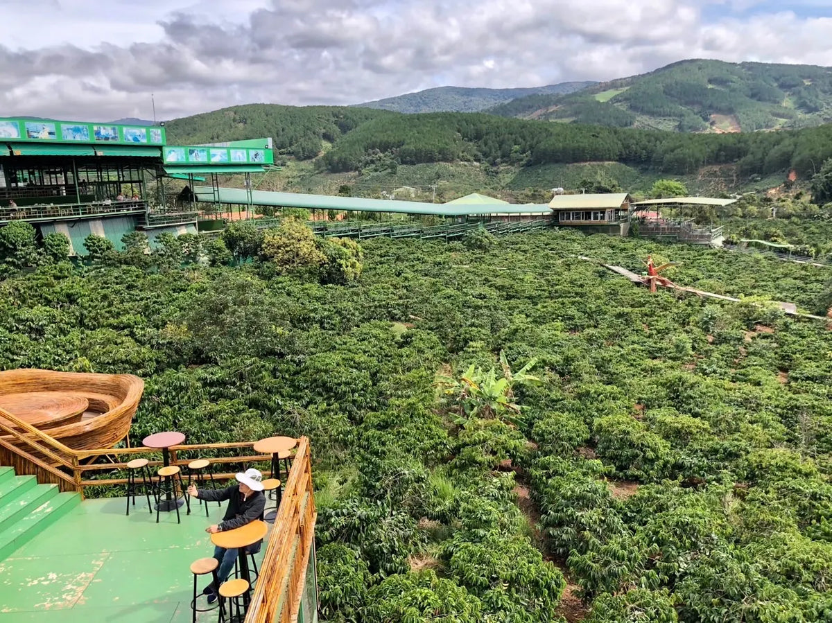 Mê Linh Coffee Garden nằm ở đâu và giờ mở cửa thế nào?