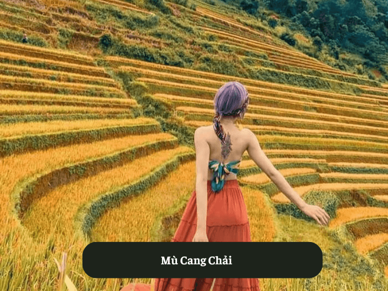 Mù Cang Chải