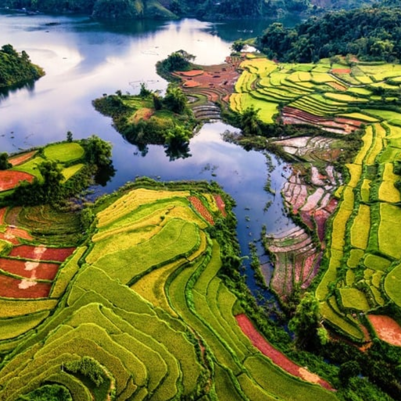 Những Ai Thường Đến Ruộng bậc thang Hồng Thái Để Làm Gì?
