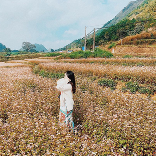 Những Ai Thường Đến Thung lũng Sủng Là Và Để Làm Gì?