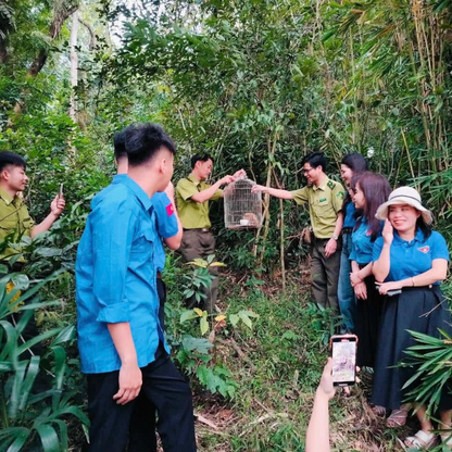Những Ai Thường Đến Vườn Quốc Gia Bến En Để Làm Gì?
