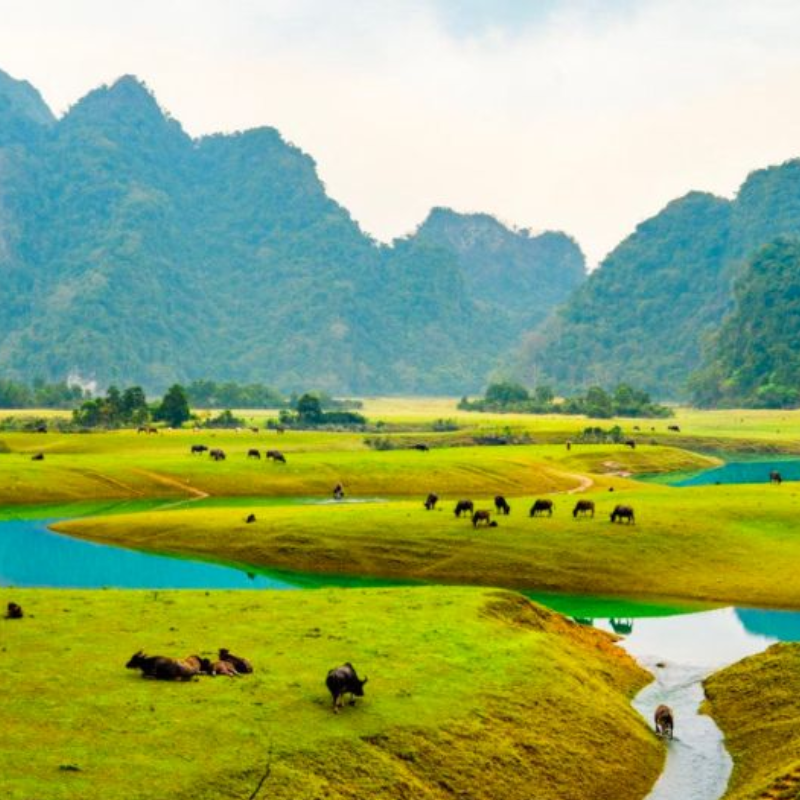 Những Ai Thường Đến Làng Văn Hóa Hữu Liên Để Làm Gì?
