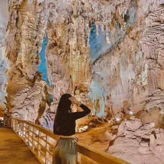 Mô Tả Hang Đầu Gỗ - Bức Tranh Thiên Nhiên Sống Động