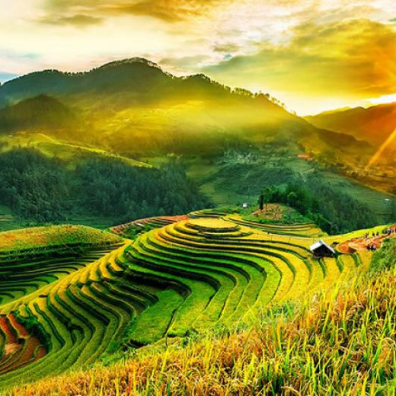 Những Ai Thường Đến Suối Giàng Để Làm Gì?
