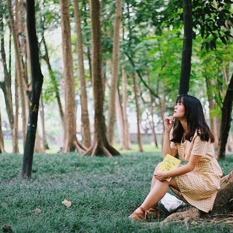 Những Ai Thường Đến Vườn Bách Thảo Hà Nội Để Làm Gì?