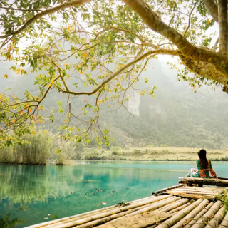 Những Ai Thường Đến Thảo Nguyên Đồng Lâm Để Làm Gì?
