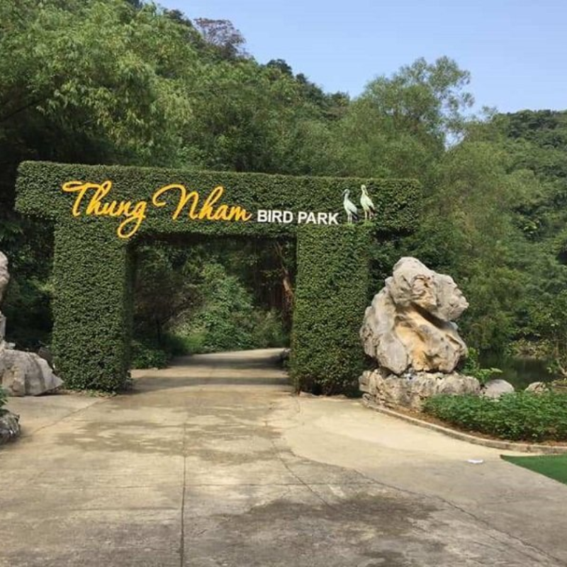 Những Ai Thường Đến Vườn Chim Thung Nham Để Làm Gì?
