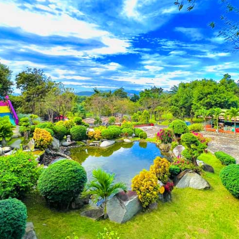 Những ai thường đến Núi Tà Cú để làm gì?
