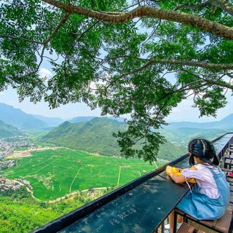 Những Ai Thường Đến Thung Lũng Mai Châu Để Làm Gì?

