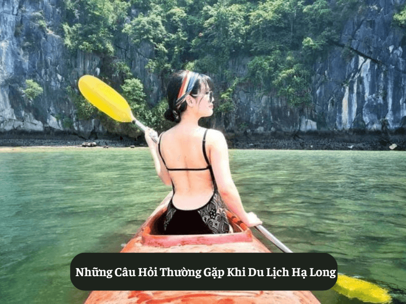 Ha Long Travel