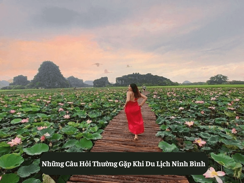 Ninh Binh Tourism