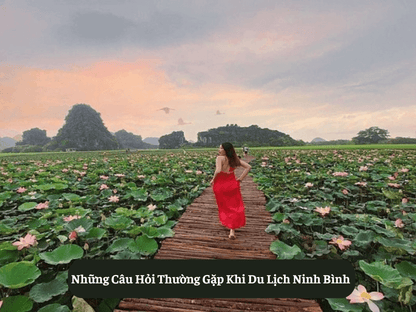 Du Lịch Ninh Bình