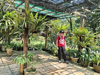 2. Tham quan nhà vườn mất bao lâu?