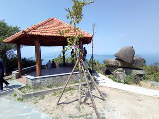 Vọng Cảnh House, Da Nang