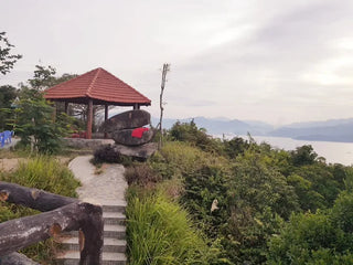 Vọng Cảnh House, Da Nang