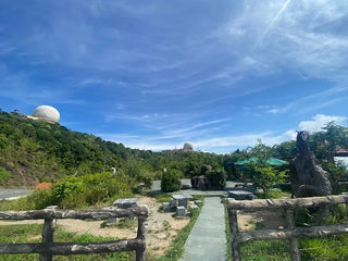 Localtrips.ORG – Chuyên Gia Hành Trình Xanh Tại Đà Nẵng