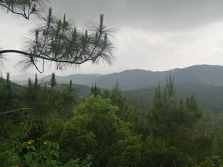 Núi Vũng Chua