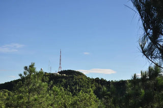 Núi Vũng Chua