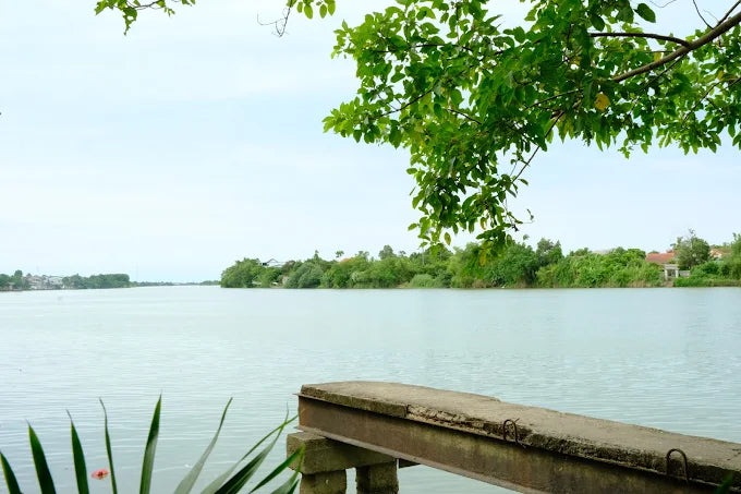 Bảng giá các dịch vụ tham quan du lịch gần Phố Cổ Bao Vinh