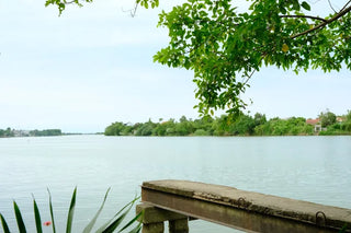 Bảng giá các dịch vụ tham quan du lịch gần Phố Cổ Bao Vinh