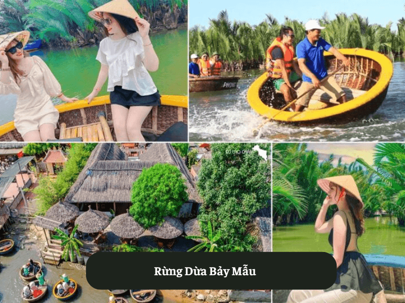  Rừng Dừa Bảy Mẫu