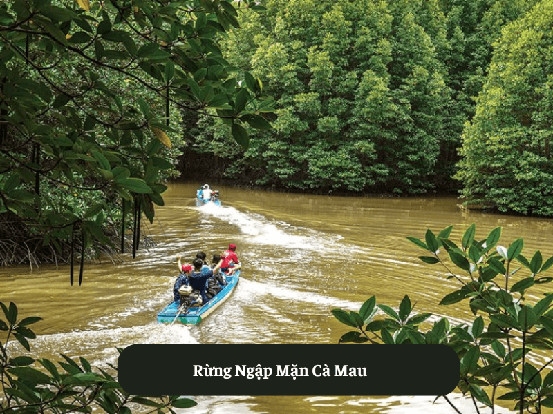 Rừng Ngập Mặn Cà Mau