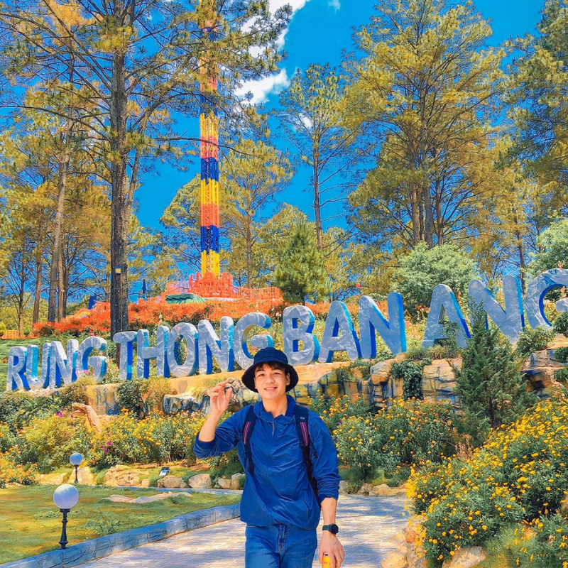 Rừng Thông Bản Áng