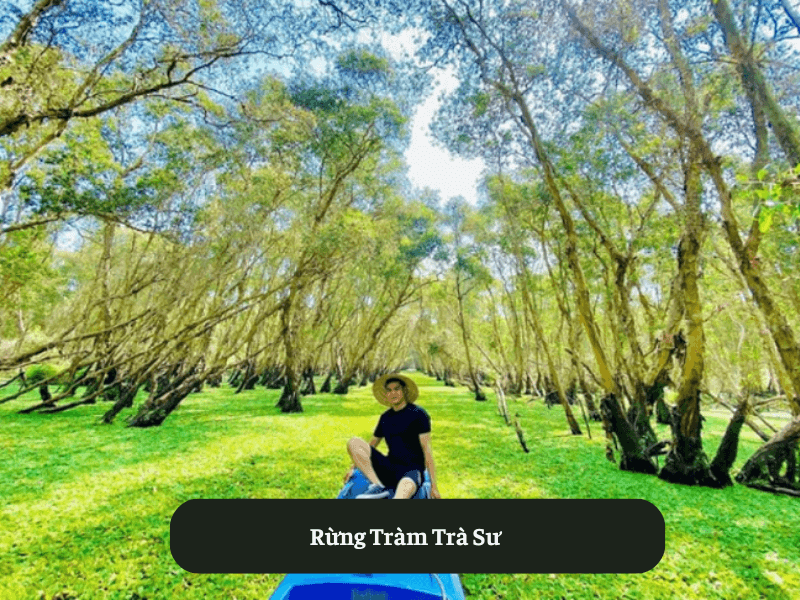 Rừng Tràm Trà Sư