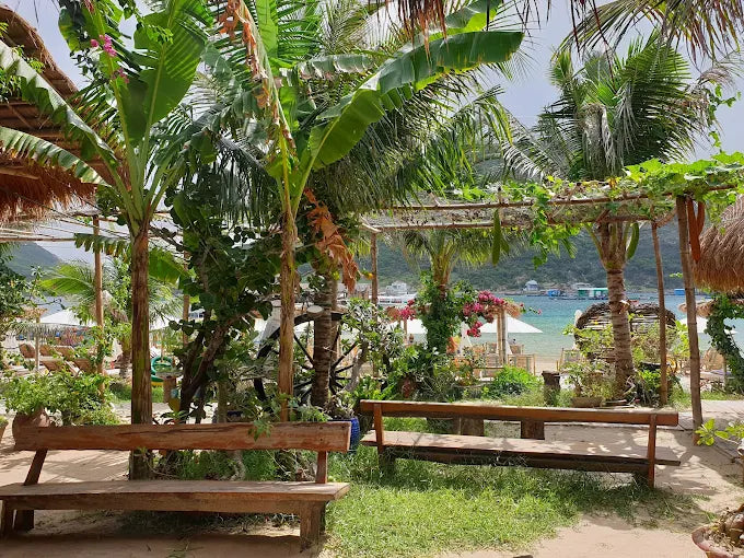 Vì Sao Robinson Beach Nha Trang Lại "Gây Sốt" Với Du Khách?
