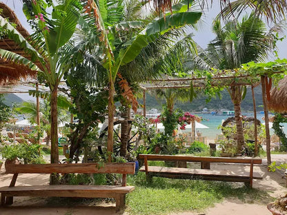 Vì Sao Robinson Beach Nha Trang Lại "Gây Sốt" Với Du Khách?