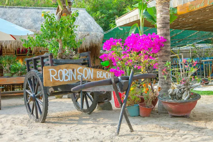 Gia đình có trẻ nhỏ đi Robinson Beach có an toàn không?