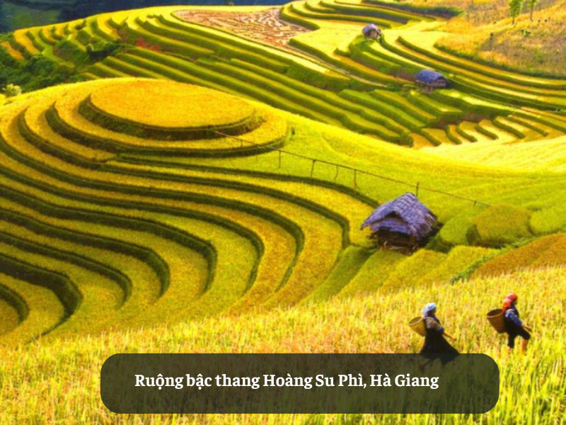 Ruộng bậc thang Hoàng Su Phì, Hà Giang
