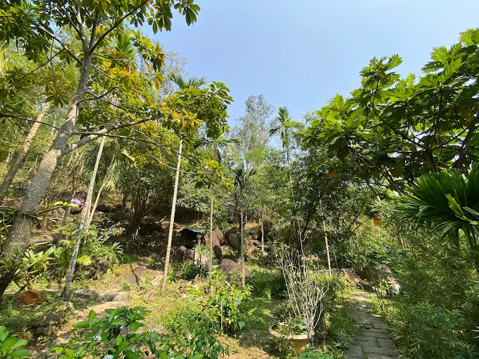 Son Tra Tinh Vien Da Nang